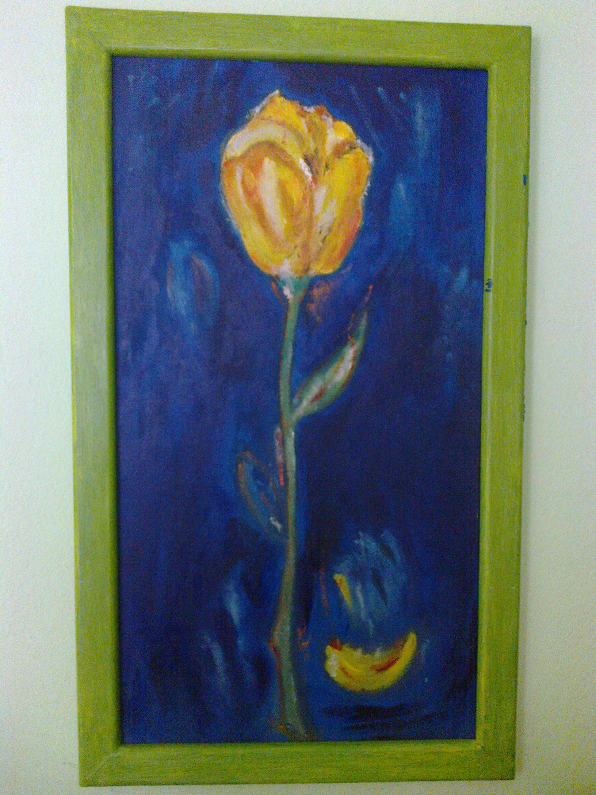 Tulipán